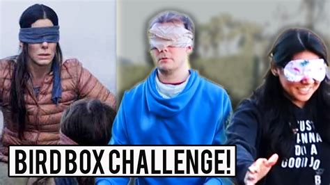 The Bird Box Challenge: Blindfolded Daredevil Stunts and a Viral Tide of Misguided Danger